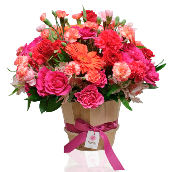 Serenata De Amor - Imagen 2